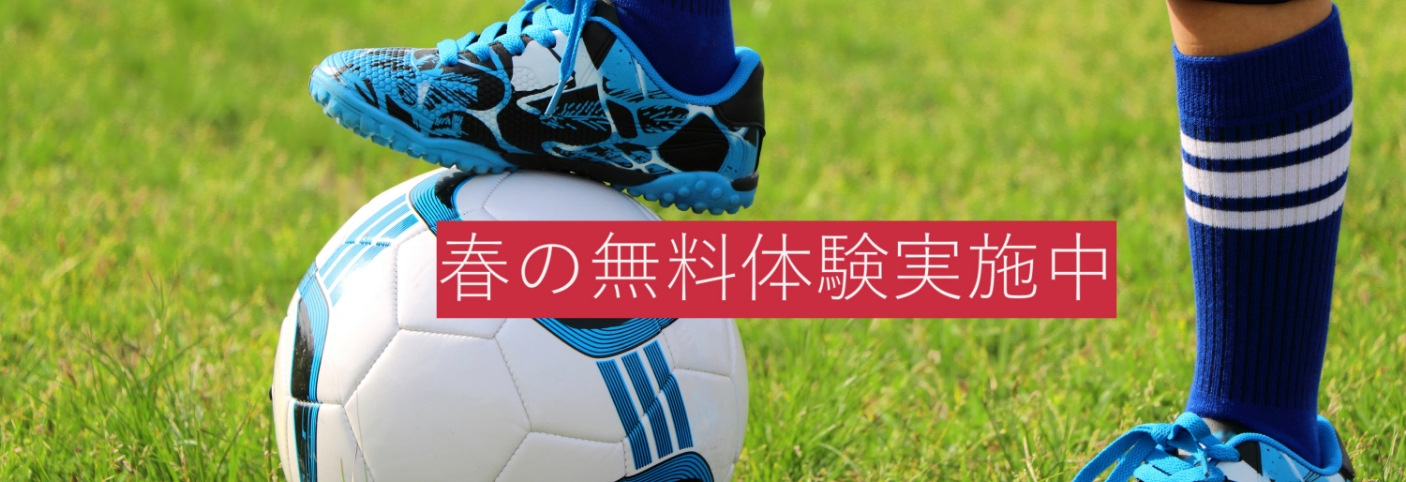 春の無料体験実施中